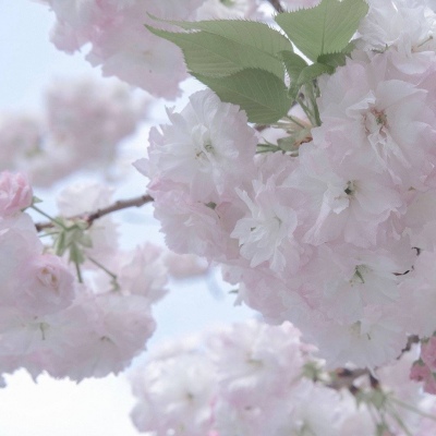 兽设火山场景创作FurryQQ群